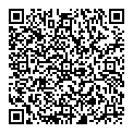 P Lee QR vCard