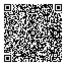 B T Martin QR vCard