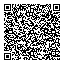 D M Martin QR vCard