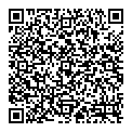 Victor Mazil QR vCard