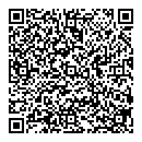 L Ning QR vCard