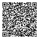 R Excellent QR vCard