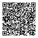 L Brion QR vCard