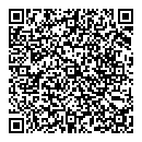 P Panesar QR vCard