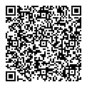 L Constatinescu QR vCard