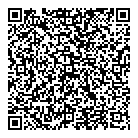 RinkADink Inc. QR vCard