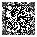 Voyer Electrique QR vCard