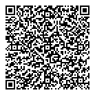 Lyne Carrier QR vCard