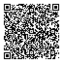 V Carrier QR vCard