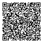 Zero Celsius QR vCard