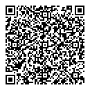 Eli L Critchley QR vCard