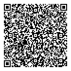 Lave Auto Shine QR vCard