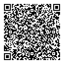 M Yorston QR vCard