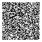 Lally Southpoint Ford QR vCard
