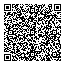 Mario Iaconis QR vCard