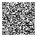 B Wong QR vCard