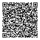 B B Stokvis QR vCard