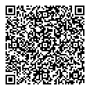 Luis Lim QR vCard