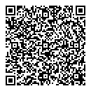 Ping L Wong QR vCard