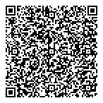 Silva Automotive Ltd. QR vCard