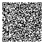 Dream Limousine QR vCard