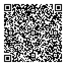 A E Johnson QR vCard