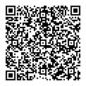 Holly Wong QR vCard