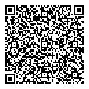 Lemma Admasu QR vCard