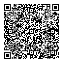 Mike Lowery QR vCard