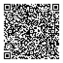 E Silver QR vCard