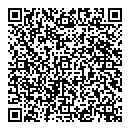 P Caddy QR vCard