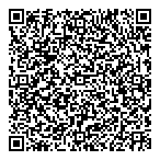 Network Security Systems QR vCard