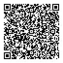 Oladapo Busari QR vCard