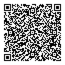 Elmer Lahde QR vCard