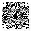 M Dennison QR vCard