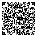 A Perlini QR vCard