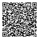 Andre Taavel QR vCard