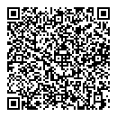 V Dinismore QR vCard