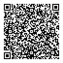 L Verdone QR vCard