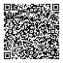 C Ford QR vCard