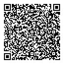 D Fountain QR vCard