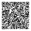 Lorne Feldman QR vCard