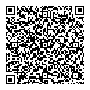 G Lewis QR vCard