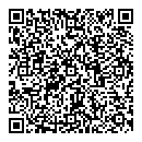 R Kopylov QR vCard