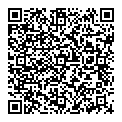 E Mcnichol QR vCard