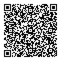 P Raymer QR vCard