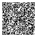 G Vidiadakis QR vCard