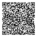 David Collins QR vCard