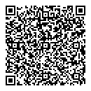 Lynne Vallieres QR vCard