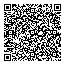 S Mcfayden QR vCard